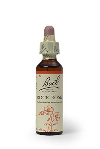 Dr Bach Rock Rose Bach Flower Remedy 10ml